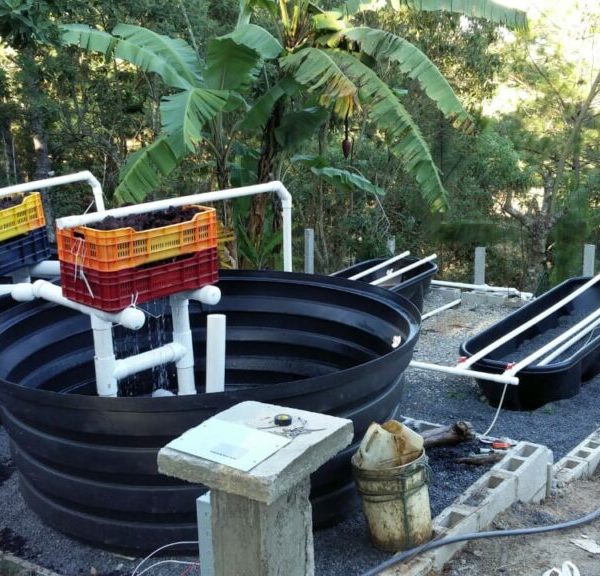 Aquaponic Fishtank in San Andrés Osuna