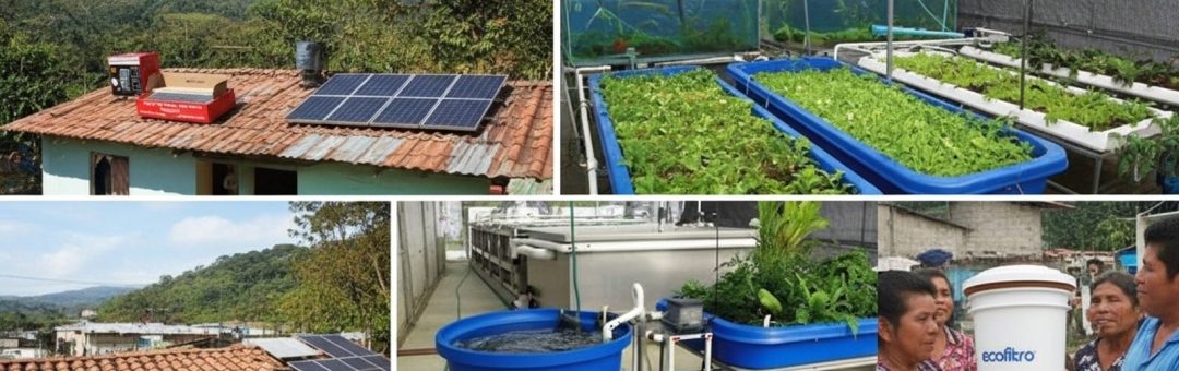 Whisk_web_optimized_1600px-1